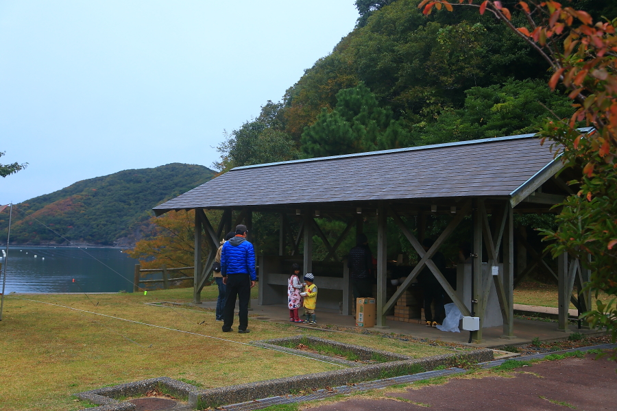 DPP_20109