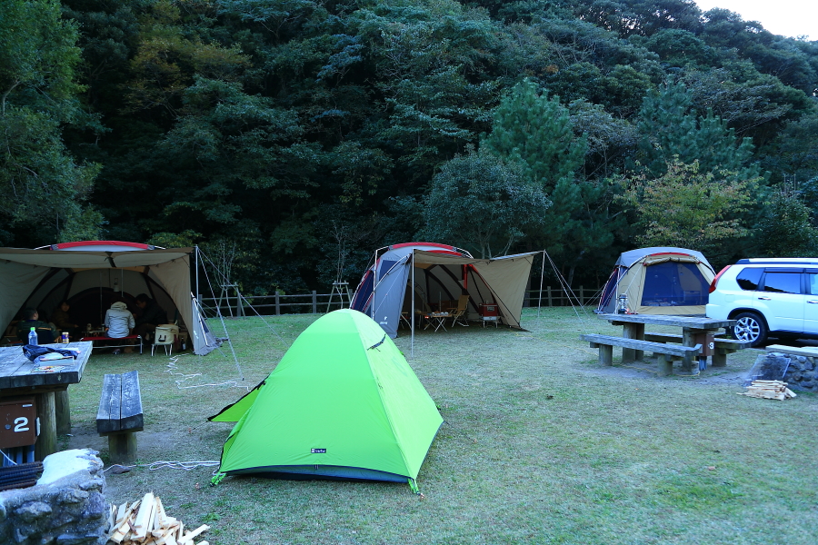 DPP_20033
