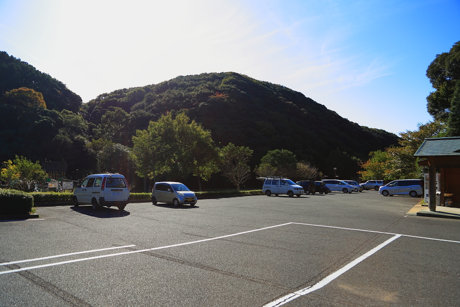 DPP_20026