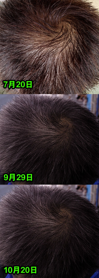 SDIM0220