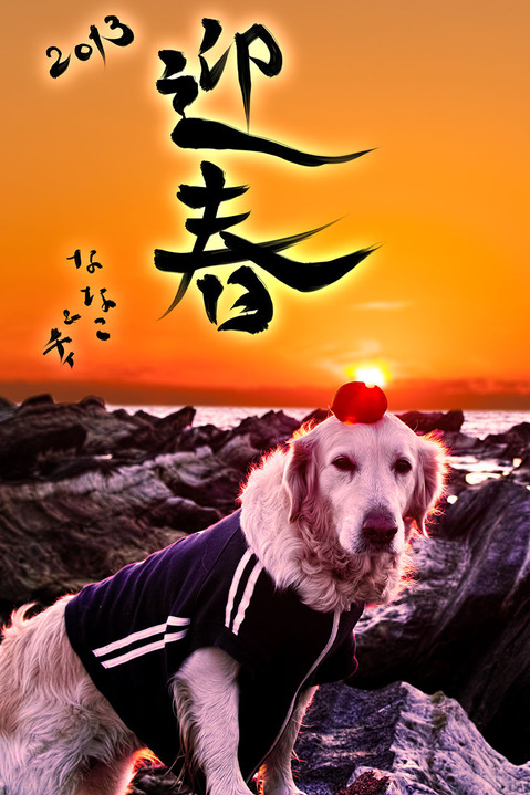 2013年賀