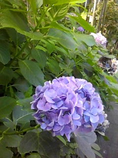 P2010_0718_140415