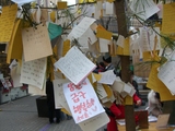 tanabata2