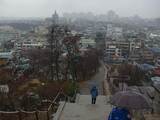 suwon