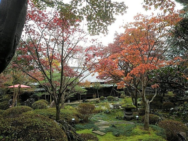 2018-11-21-11-03-51-1
