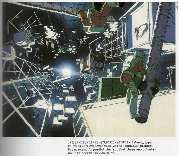 31)