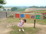 色彩の丘