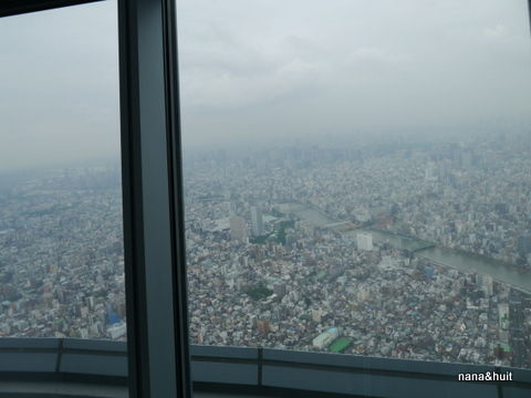 P1010766