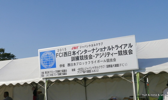 P1280768