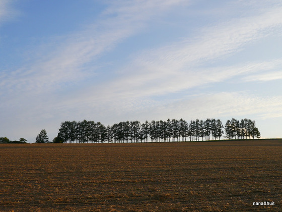 P1080958