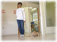 360c6c93.jpg