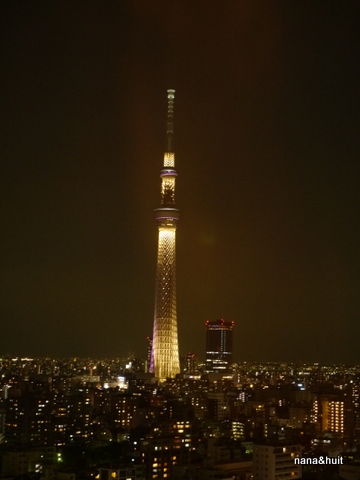 P1010949