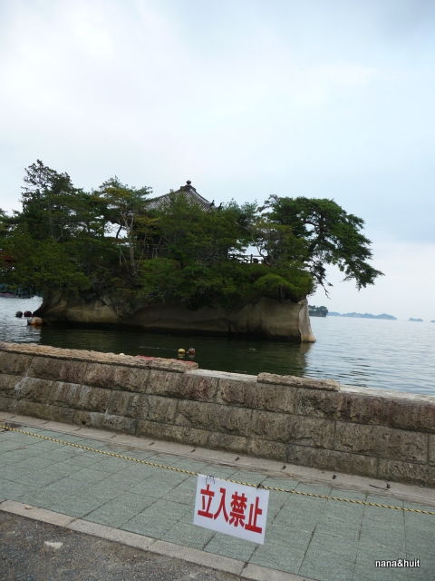 P1150989