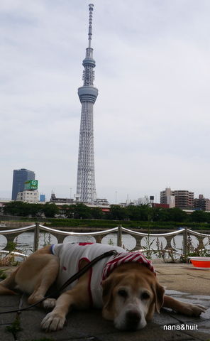 P1010909