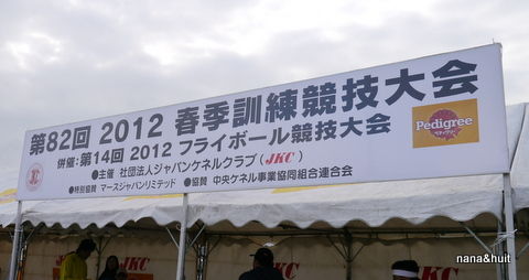 P1000654