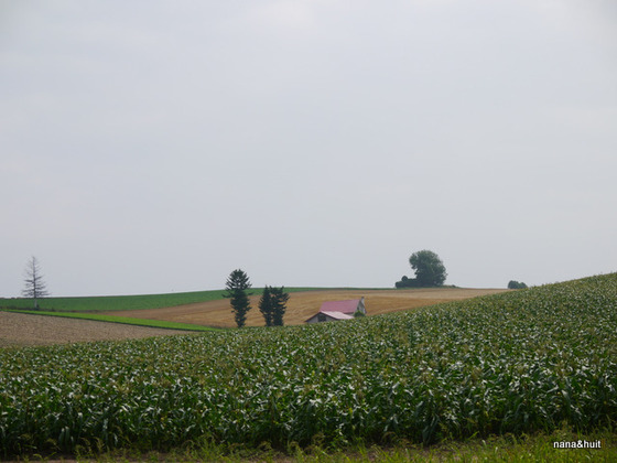 P1090367