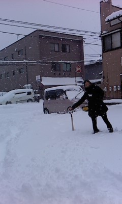 6895462f.jpg