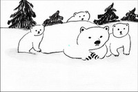 kuma