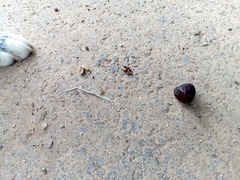 img_20170527154423