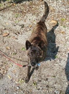 IMG_20190407_104601_153