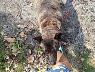 IMG_20190407_104516_516