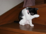 CIMG0021