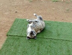 IMG_20170103_145334_345