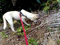 img_20170527160232