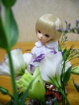 255ba218.JPG