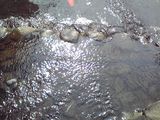 6e9b5289.jpg