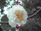 bcca844f.jpg