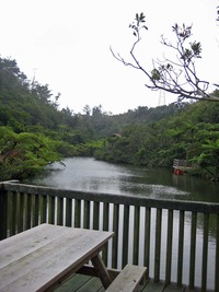 120111-13