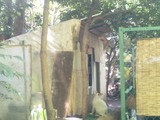 20120618-03