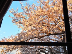 20190331