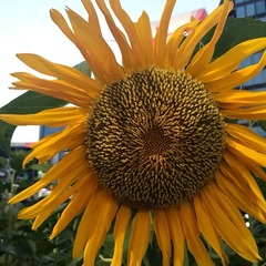 20180806