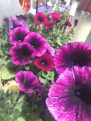 20190320
