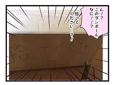 4coma_98_01