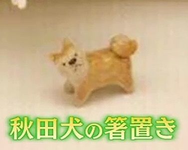 hasioki_dog