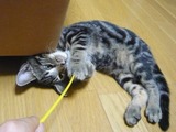 コピー 〜 画像 087