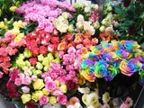 ¥ì¥¤¥ó¥Ü¡¼¥«¥é¡¼¥í¡¼¥º¤Ï¥ª¥é¥ó¥À¤«¤éľ͢Æþ¡ù