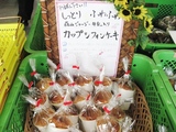 これ1つ買ったよ!