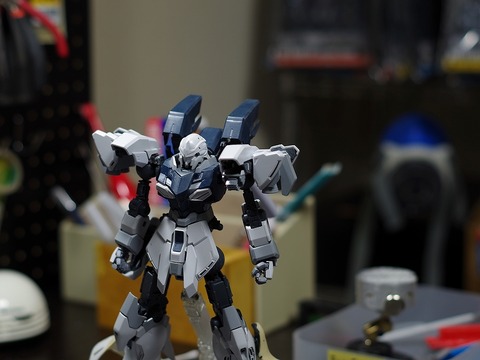 mg-sinanjyu-stein-build (50)