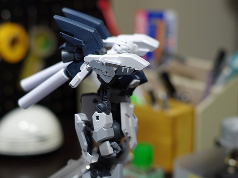 mg-sinanjyu-stein-build (60)