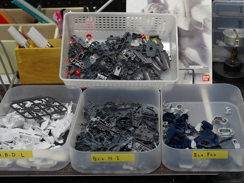 mg-sinanjyu-stein-build (1)