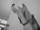 08920d90.jpg