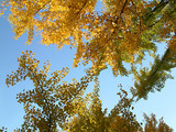 20091121_3