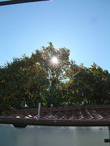 2850bd64.jpg