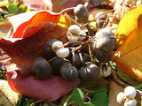 20091121_4