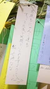 203cdcd7.jpg