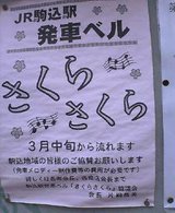20050330_1613_0000.jpg